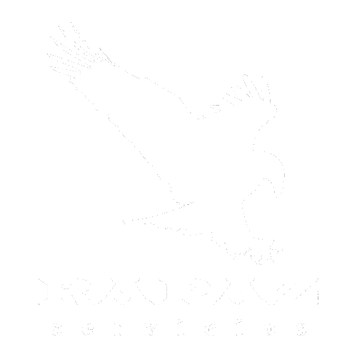 Logo Rapaz